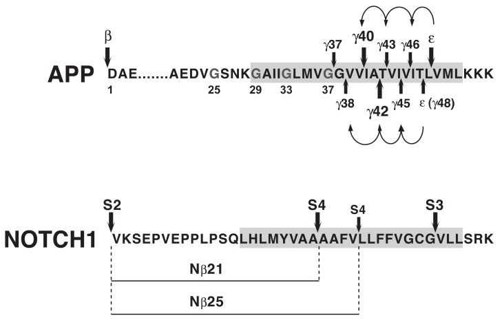 Fig. (3)