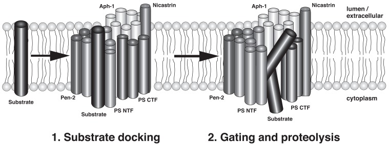 Fig. (2)