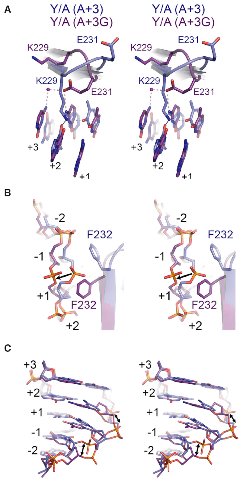 Figure 9.