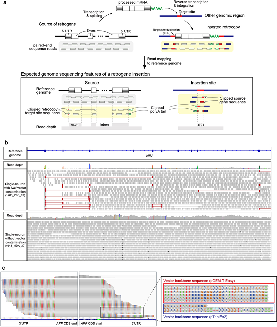 Extended Data Fig. 1.