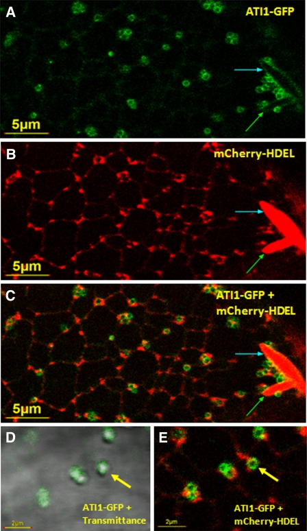 Figure 3.