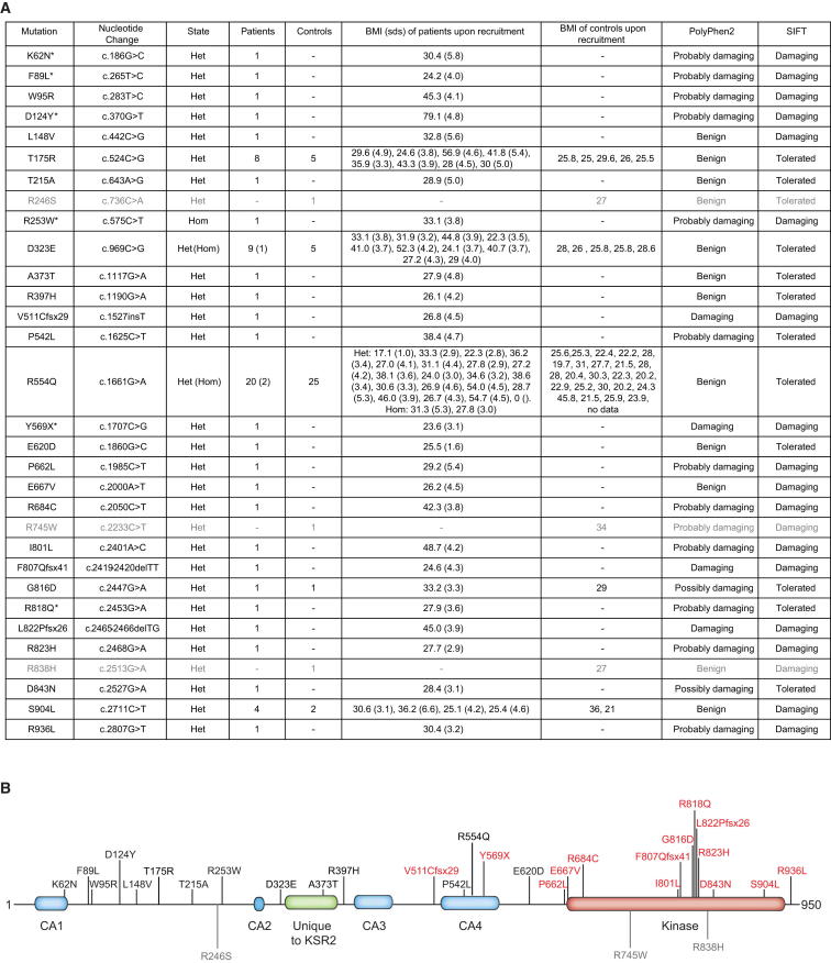 Figure 1