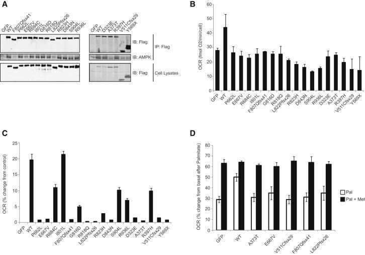 Figure 6