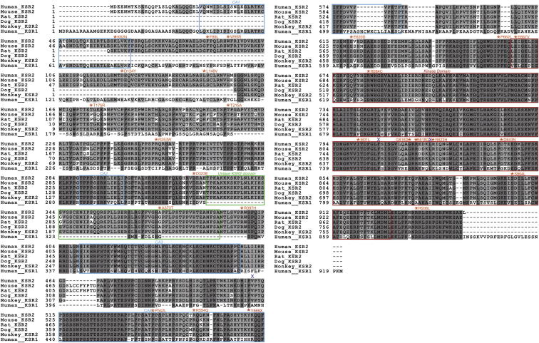 Figure S1