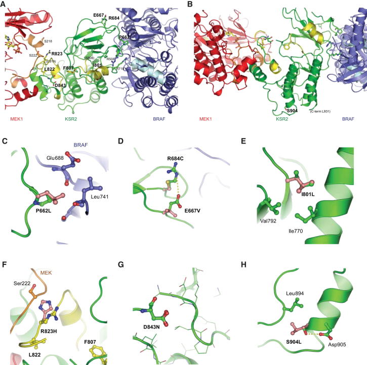 Figure 3