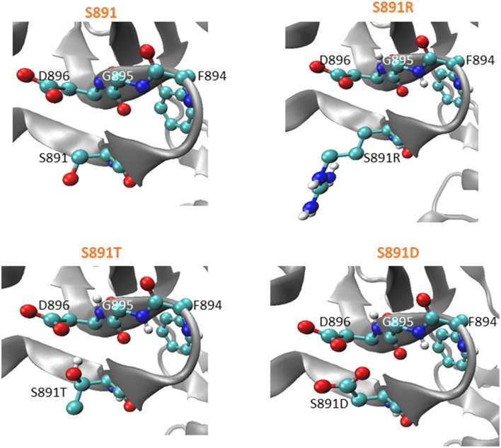 Figure 5