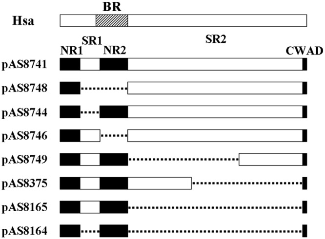 Fig 2