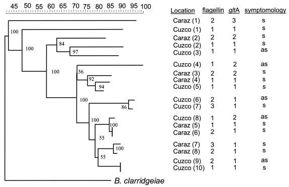 FIG. 3.