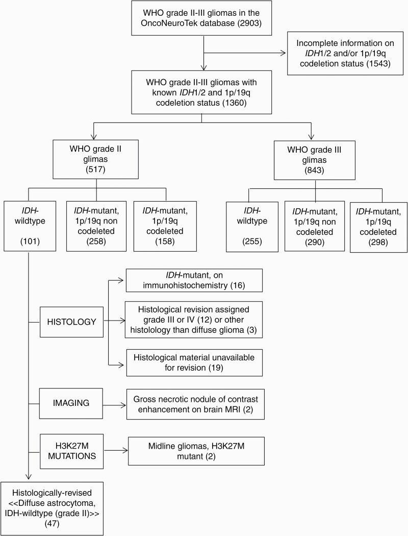 IDH-wildtype lower-grade diffuse gliomas: the importance of ...