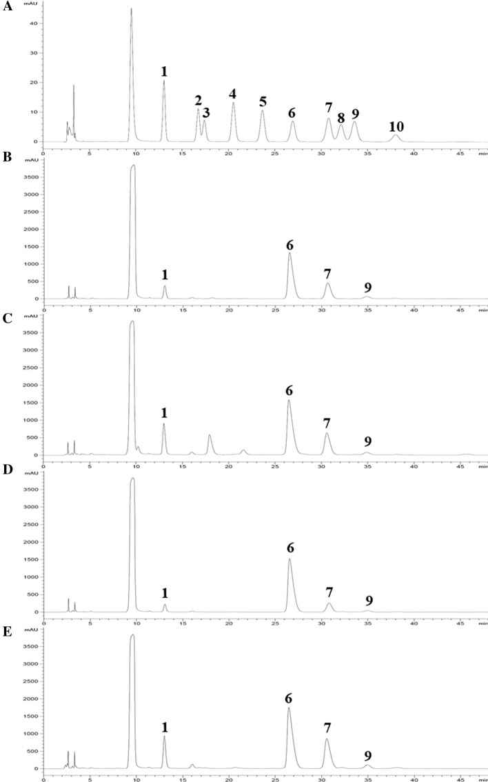 Fig. 2