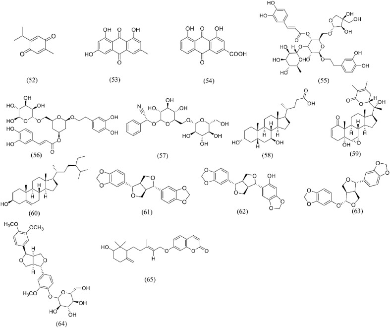 Fig. 10