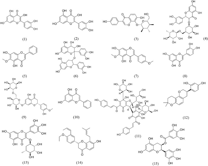 Fig. 6