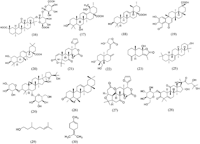 Fig. 7