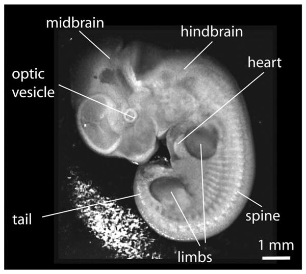 Fig. 3