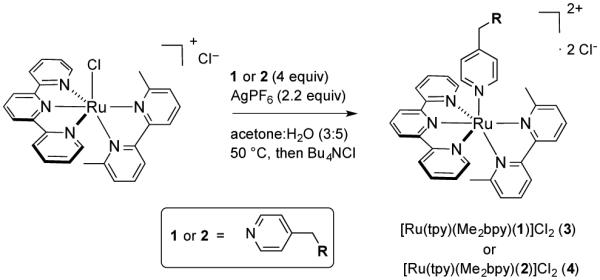 Scheme 1