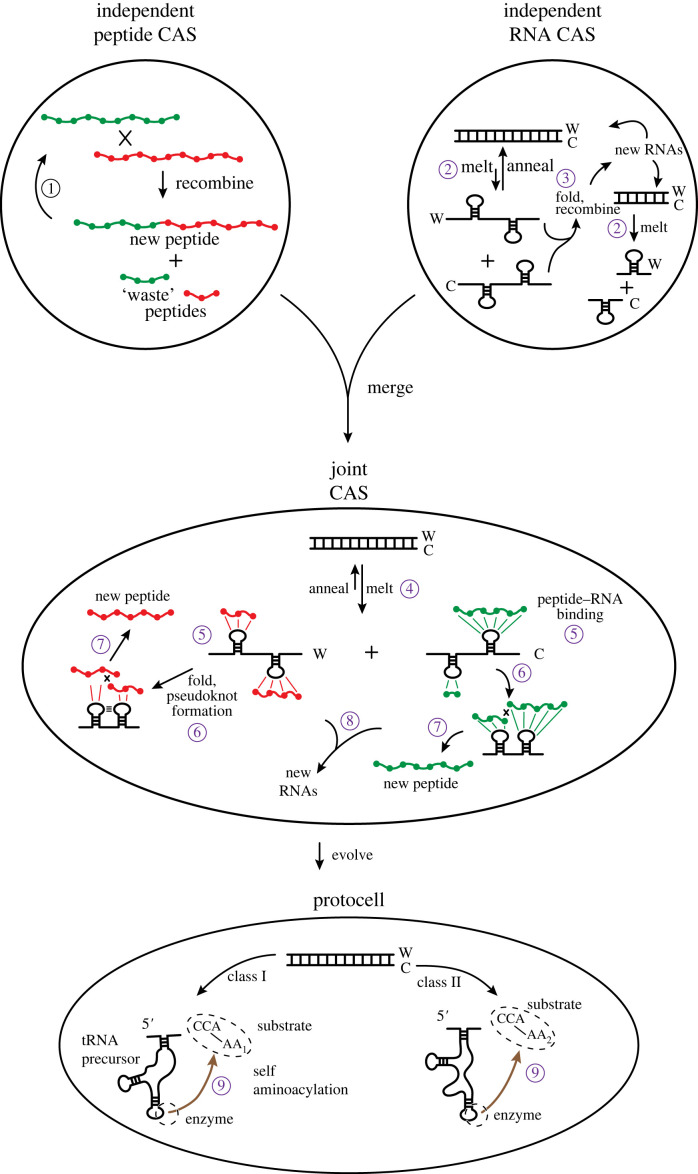 Figure 3. 