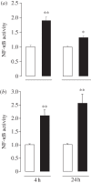 Figure 4.