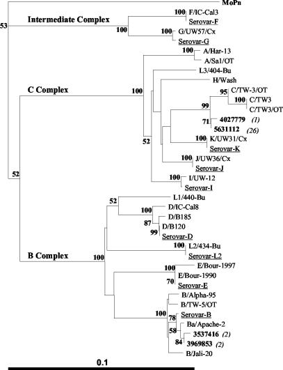 FIG. 3.