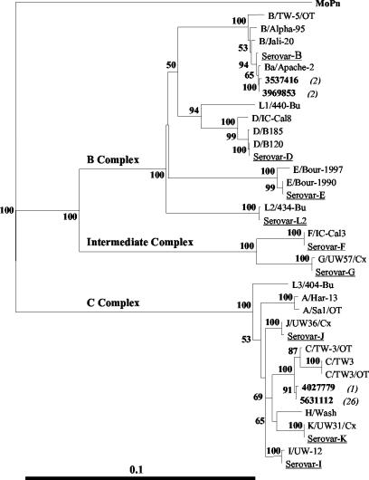 FIG. 2.