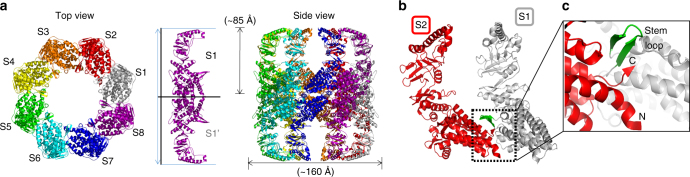 Fig. 3