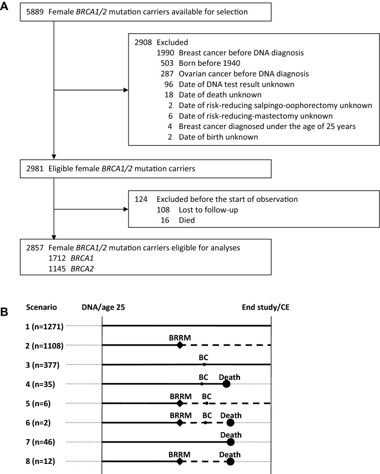 Fig. 1