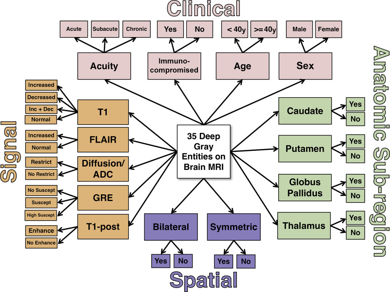 Naive expert-trained deep gray Bayesian network overview. Key image signal, spatial pattern, and anatomic subregion features are probabilistically combined with four clinical features to calculate a probability of each diagnostic state. ADC = apparent diffusion coefficient, Dec = decreased, Enhance = enhancement, FLAIR = fluid-attenuated inversion recovery, GRE = gradient-recalled echo, Inc = increased, Restrict = restricted diffusion, Suscept = susceptibility, T1 = T1-weighted, T1-post = T1-weighted postcontrast.