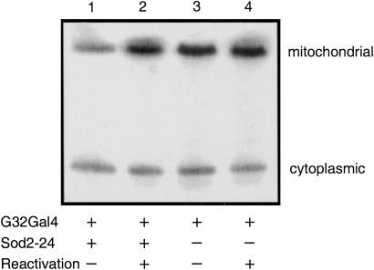 Fig. 6.