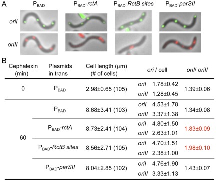 FIG 6 