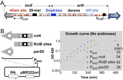 FIG 1 