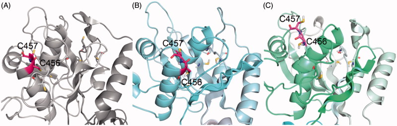 Figure 5.