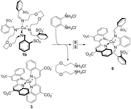 Scheme 4.