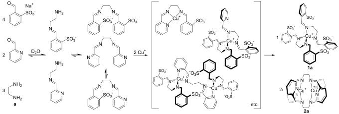 Scheme 3.