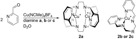 Scheme 2.