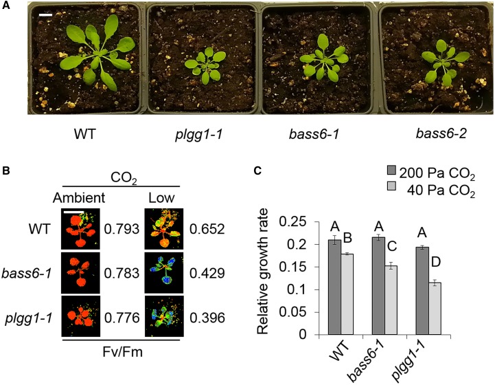 Figure 2.