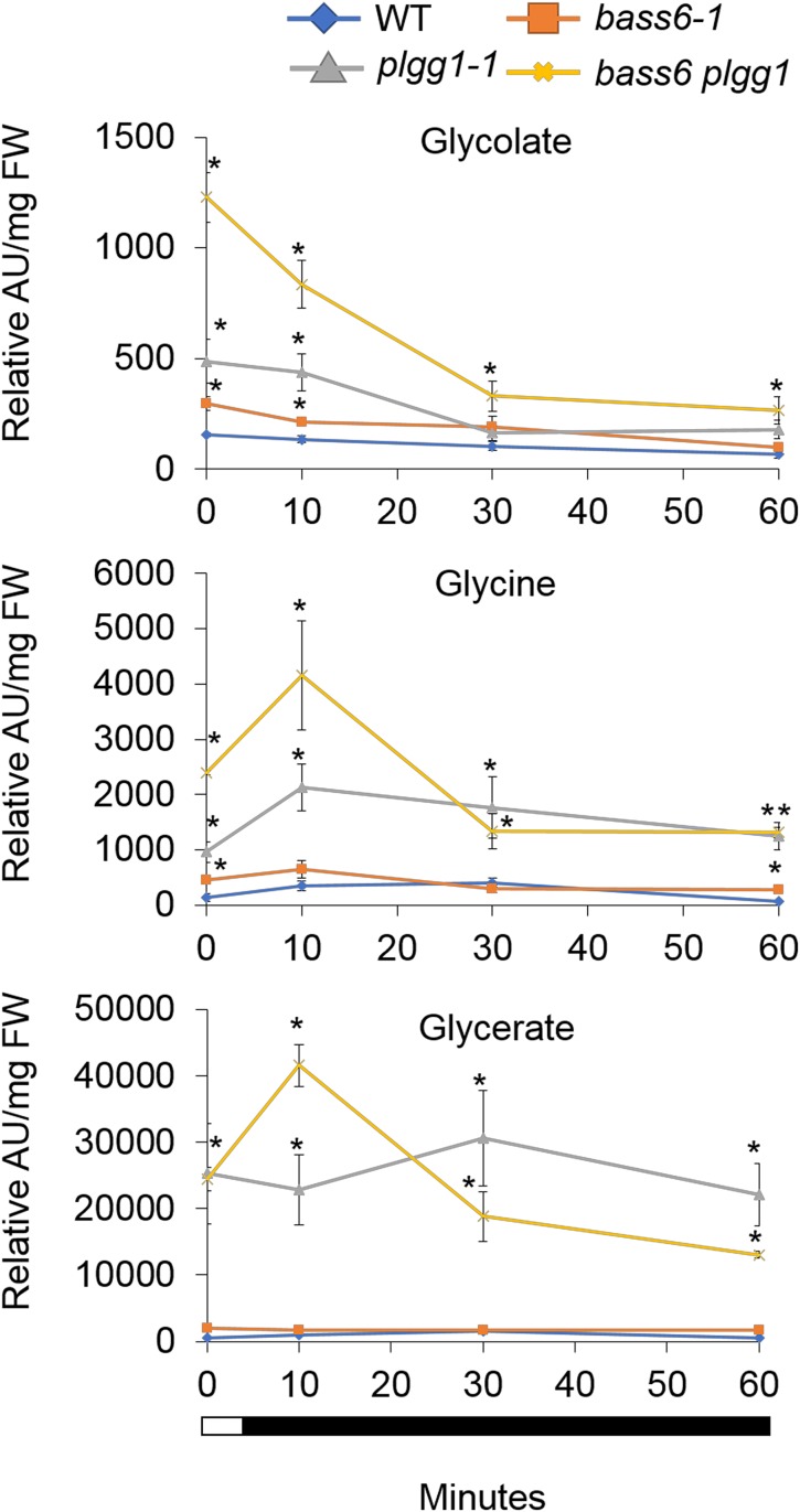 Figure 7.