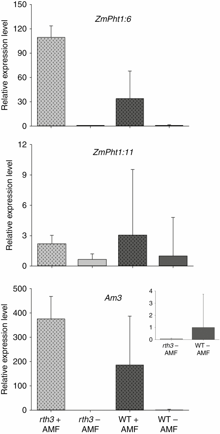 Fig. 6.