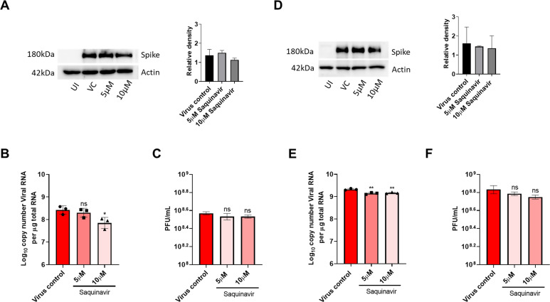 Figure 3—figure supplement 2.