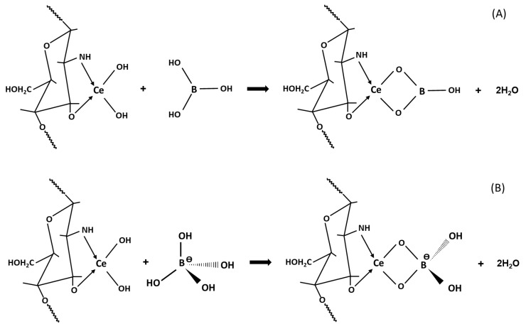 Scheme 2