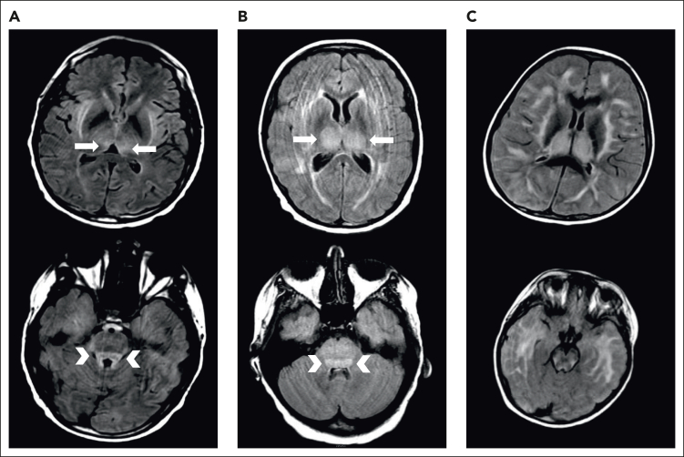 Figure 1.