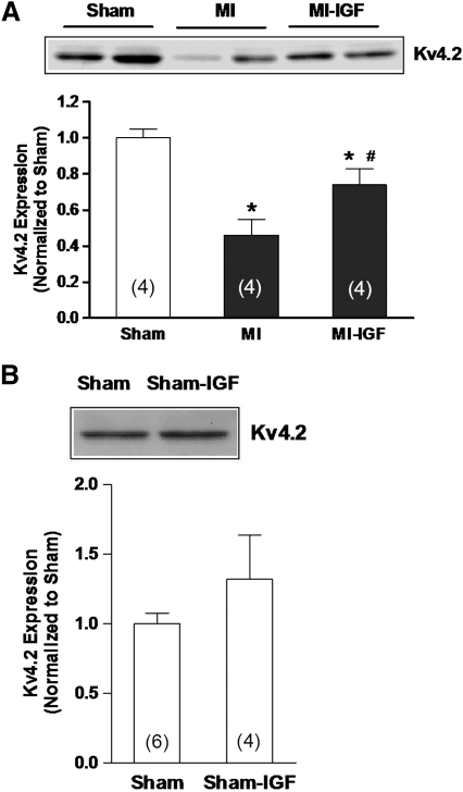 FIG. 7.