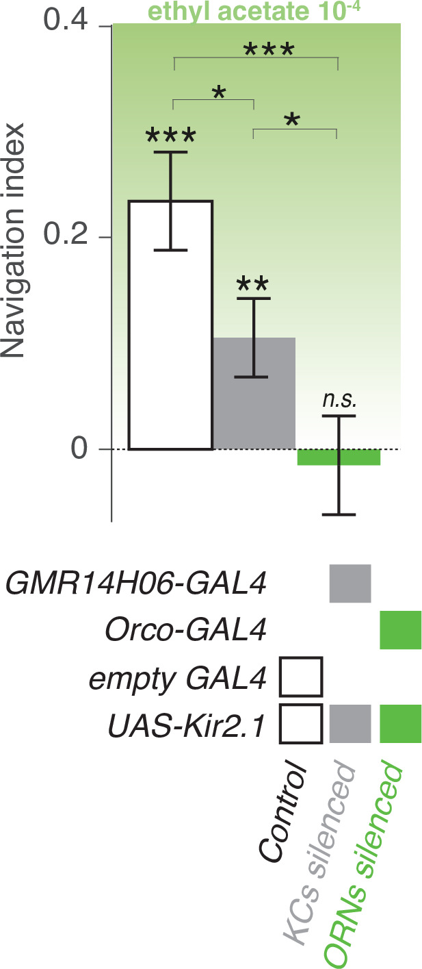 Figure 3—figure supplement 4.