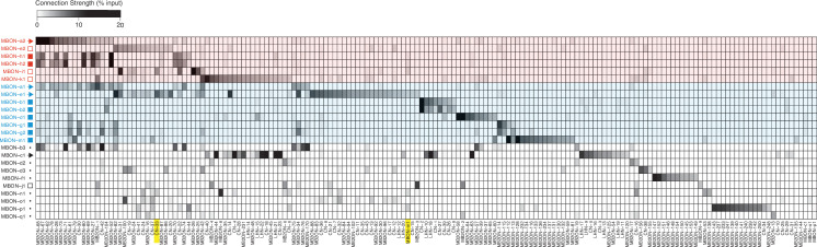 Figure 3—figure supplement 1.