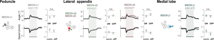 Figure 2—figure supplement 2.