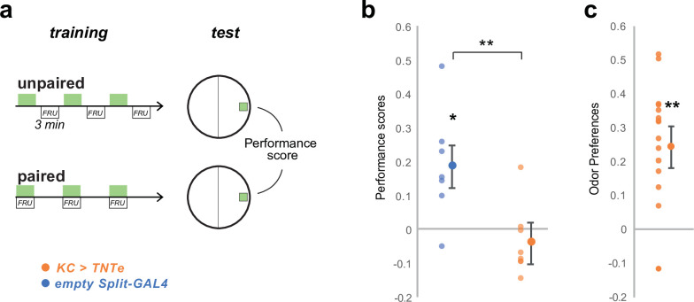 Figure 4—figure supplement 1.