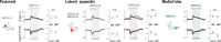 Figure 2—figure supplement 2.