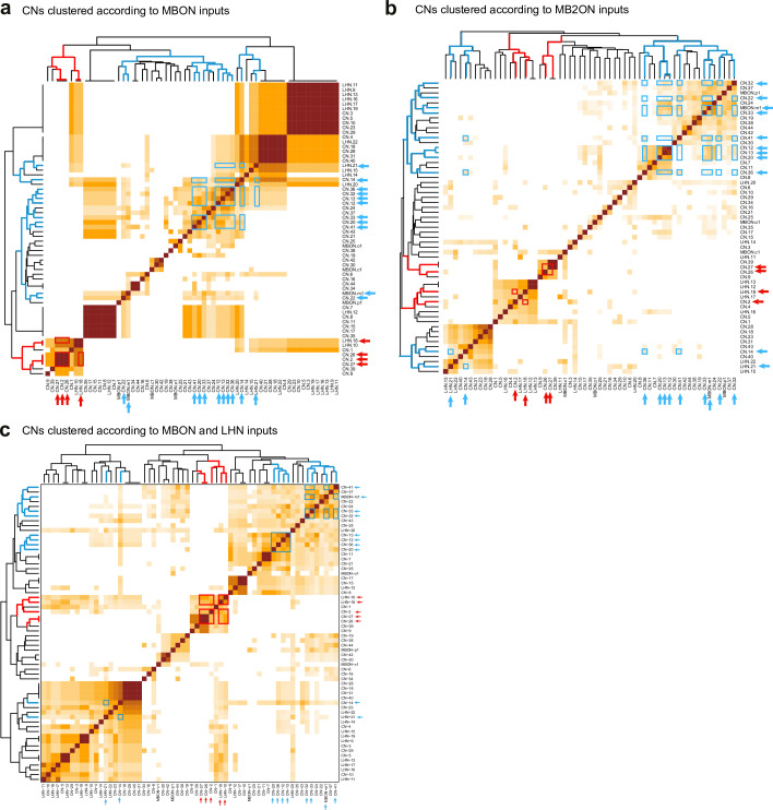 Figure 3—figure supplement 6.