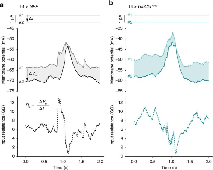 Extended Data Fig. 9