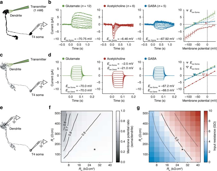 Extended Data Fig. 4