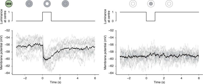 Extended Data Fig. 2