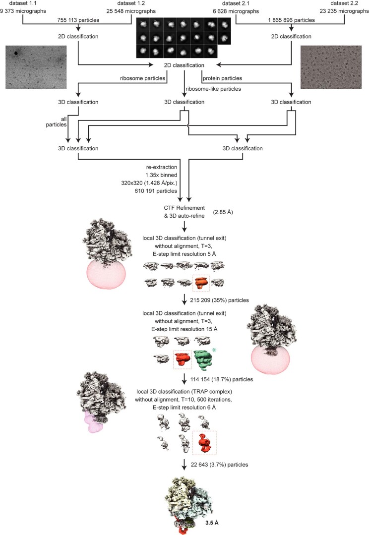 Extended Data Fig. 2